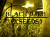 BLACK D.O.G (XSEEDS)